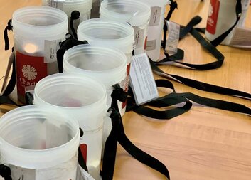 Sčítání pokladniček Tříkrálové sbírky